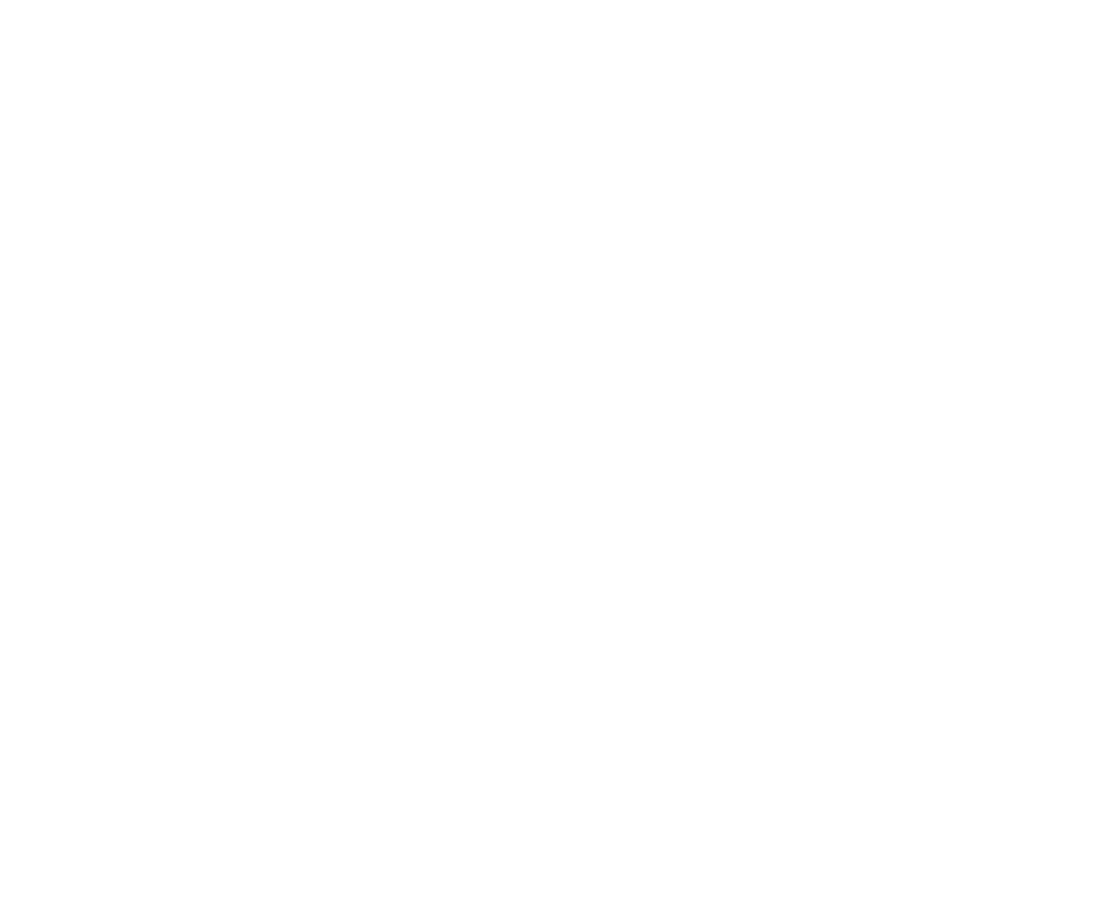 Jungle Studio